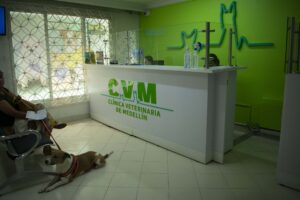 clínica veterinaria