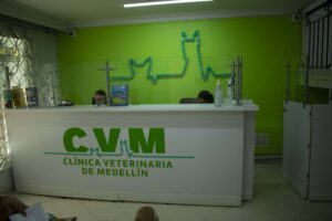 clínica veterinaria