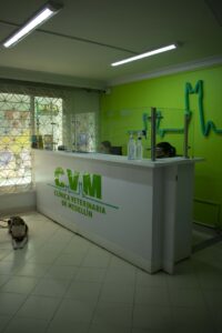 clínica veterinaria