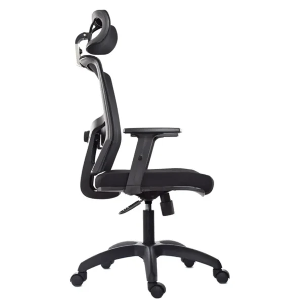 DELPHI PRESIDENTE - Imagen 2