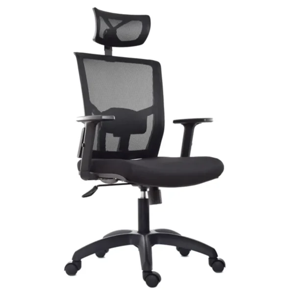 DELPHI PRESIDENTE