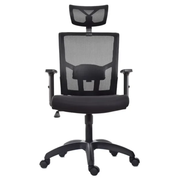 DELPHI PRESIDENTE - Imagen 3